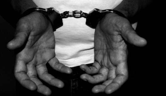 Crimes by juveniles Increasing in State