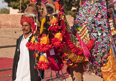 Nagaur Cattle Fair 2015 Rajasthan.