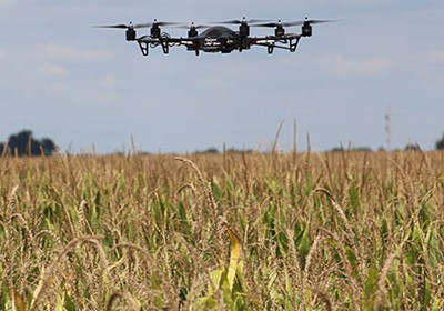 Drones over crop fields to help farmers