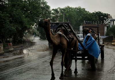 Heavy rain hits normal life in Rajasthan