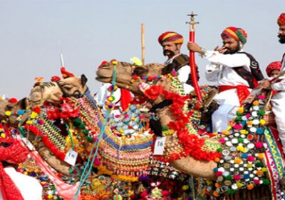 CM visits Pushkar cattle fair