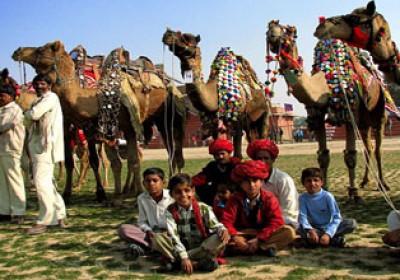 Colourful Bikaner Camel Fest to start today