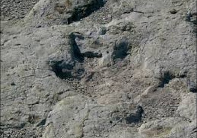 International scientists team finds flying dinosaur footprints in Jaisalmer