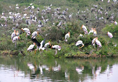 Rajasthan will soon have a first all-birds park in Udaipur